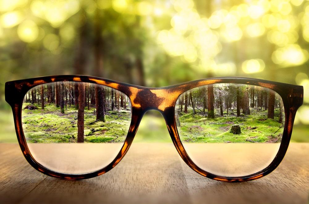 Glasses And Their Impact On The Environment