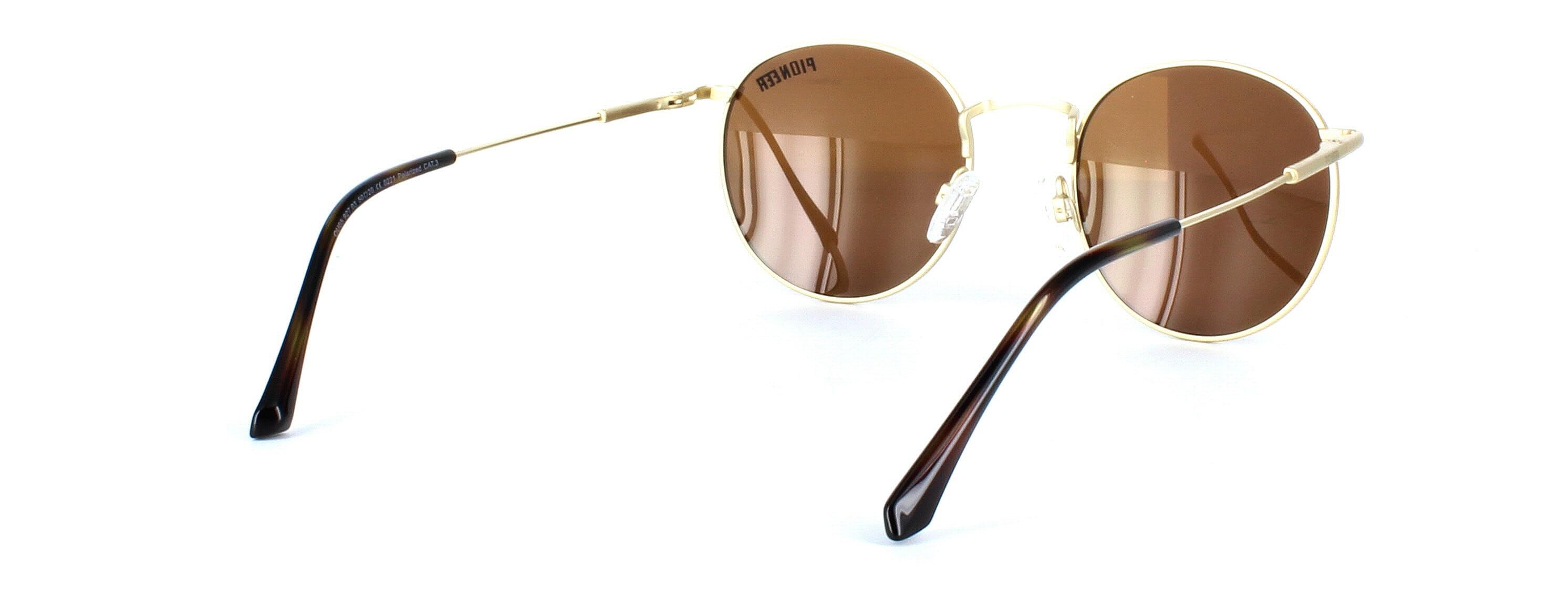 Olmeto - Unisex round shaped prescription sunglasses in gold - choose green, brown or grey tints inc in the price - image view 5