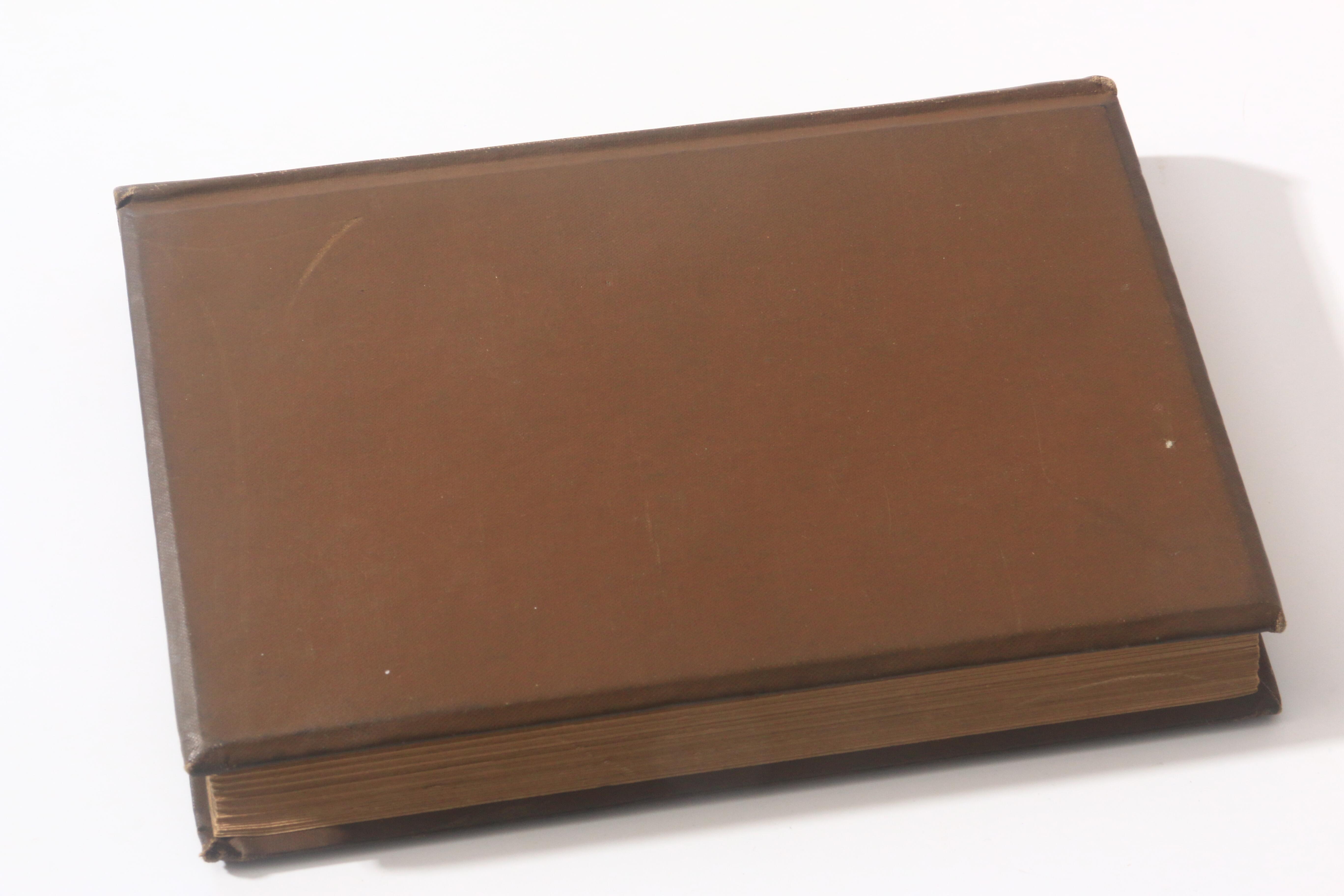 H.W. Fry - The Brand of Hell: Or Life in Babylon - George Stoneman, 1897, First Edition.