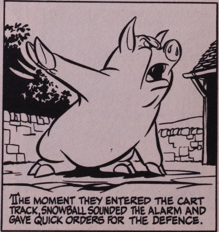 Animal Farm Snowball Drawing Animal Farm Snowball Drawing