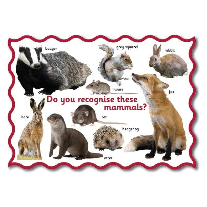 Snappy Jack Playground Signs & Graphics. Create amazing outdoor spaces!