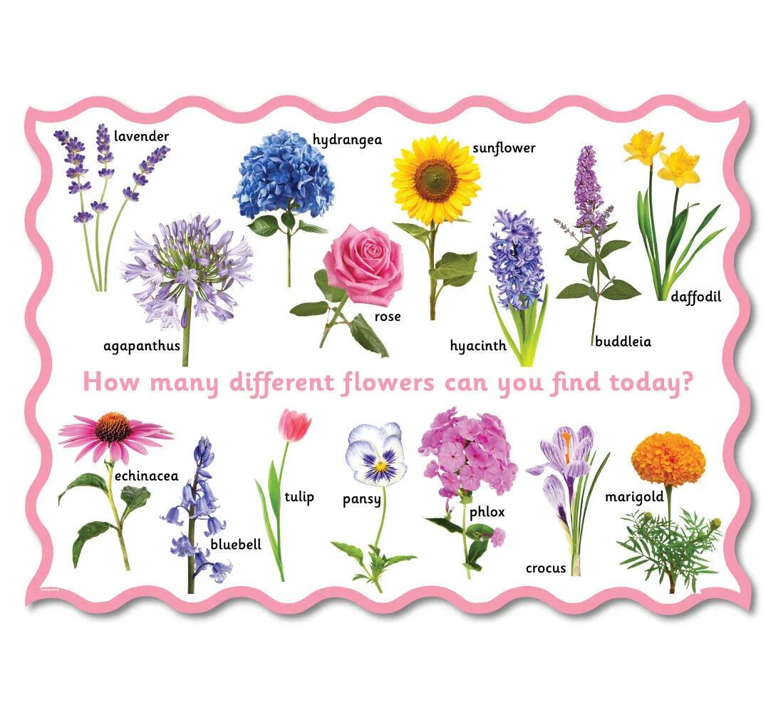 Snappy Jack Playground Signs & Graphics. Create amazing outdoor spaces!