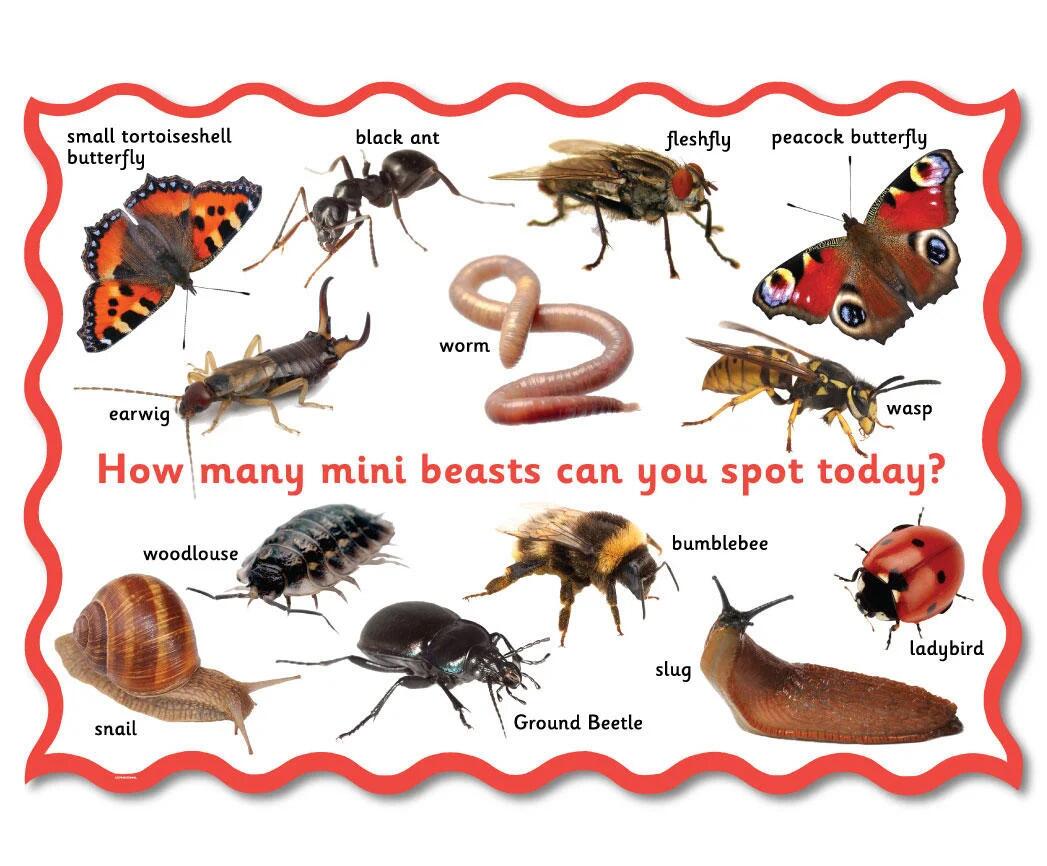 Snappy Jack Playground Signs & Graphics. Create amazing outdoor spaces!