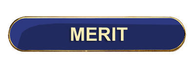 Merit Badge (bar shape)- Various Colours- Blue