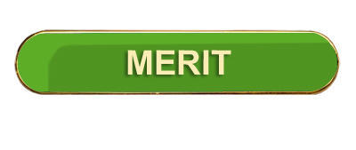 Merit Badge (bar shape)- Various Colours- Green