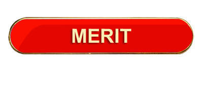 Merit Badge (bar shape)- Various Colours- Red