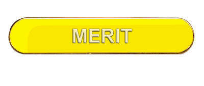Merit Badge (bar shape)- Various Colours- Yellow