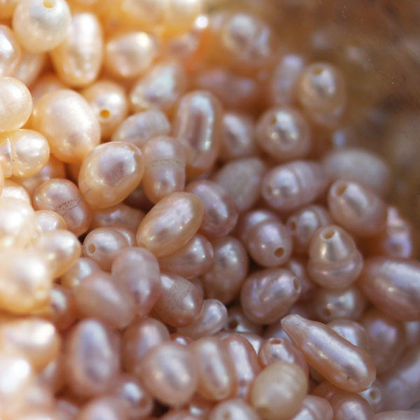 Freshwater Seed Pearls