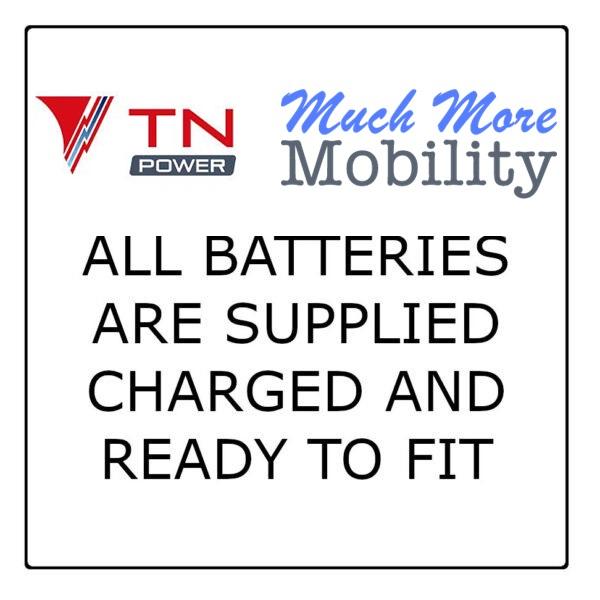 TN Power Lithium 12.8V 100Ah Leisure Battery LiFePO4 with Bluetooth and  Heater