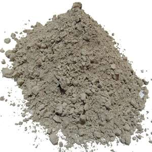 diatomaceous earth powder