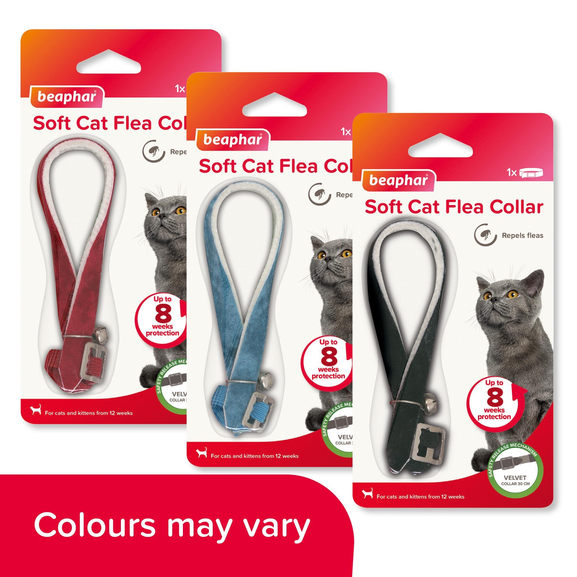 flea necklace for cats