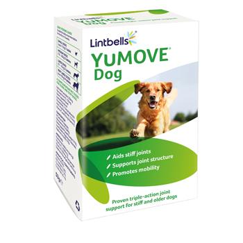 Supplements For Cats & Dogs