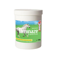 Laminitis