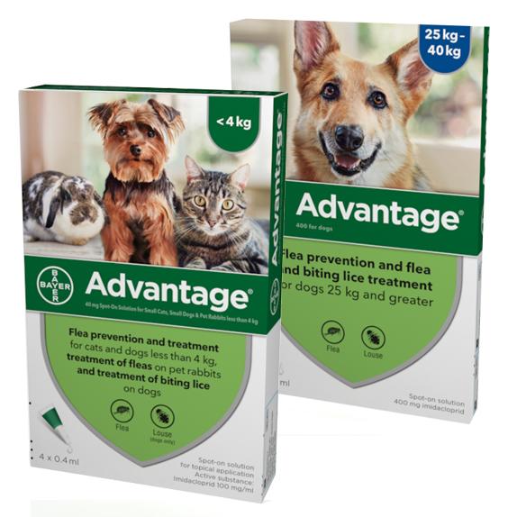 Advantage flea outlet meds for cats