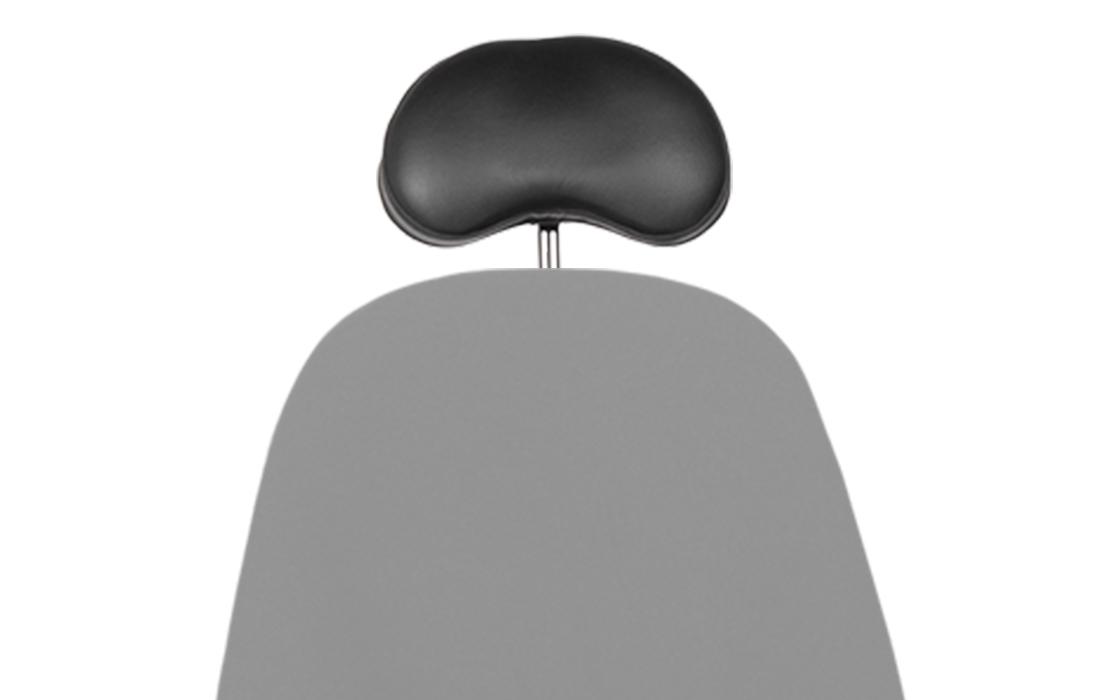 SW headrest image