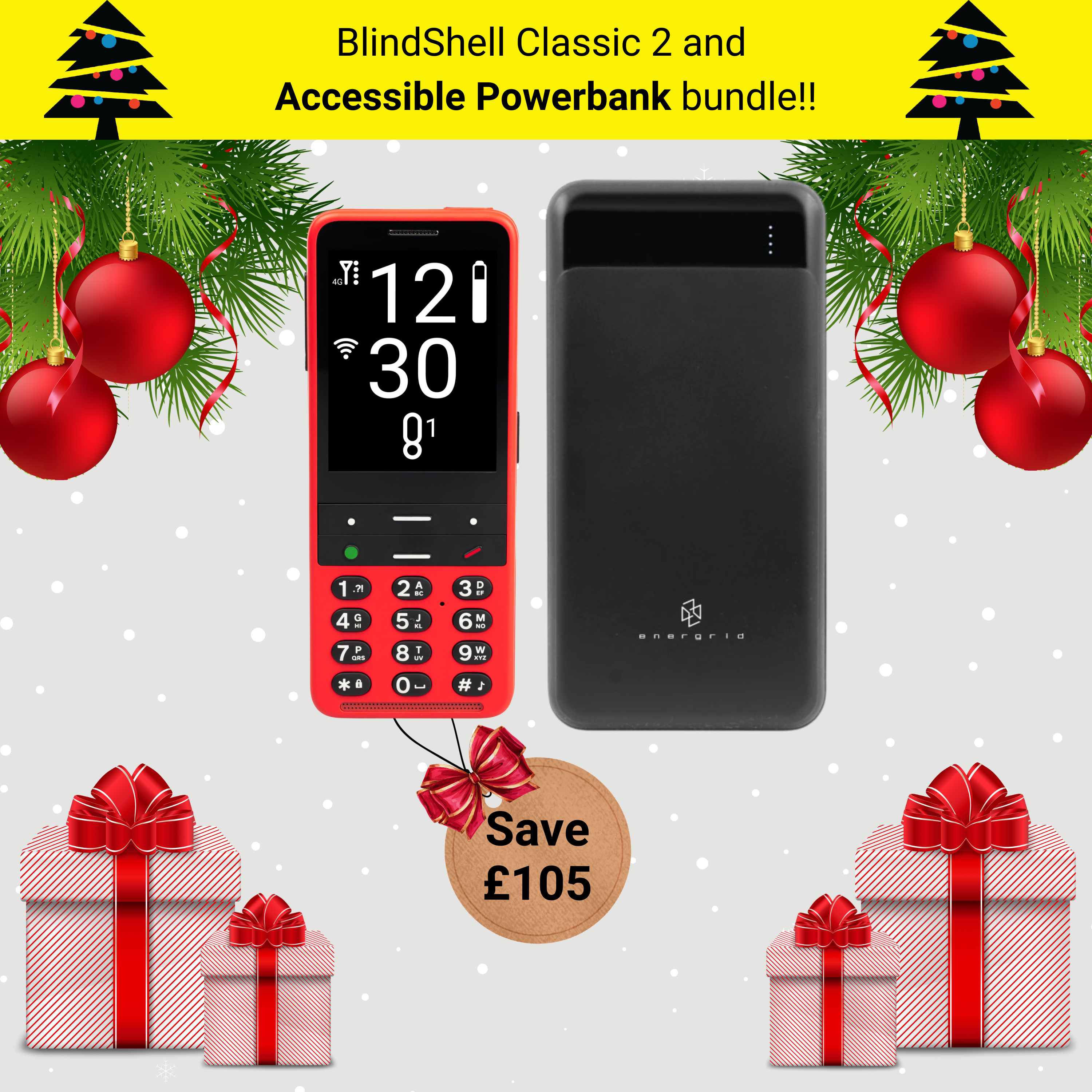 BlindShell Classic 2 and Accessible Powerbank bundle!!  Save £105