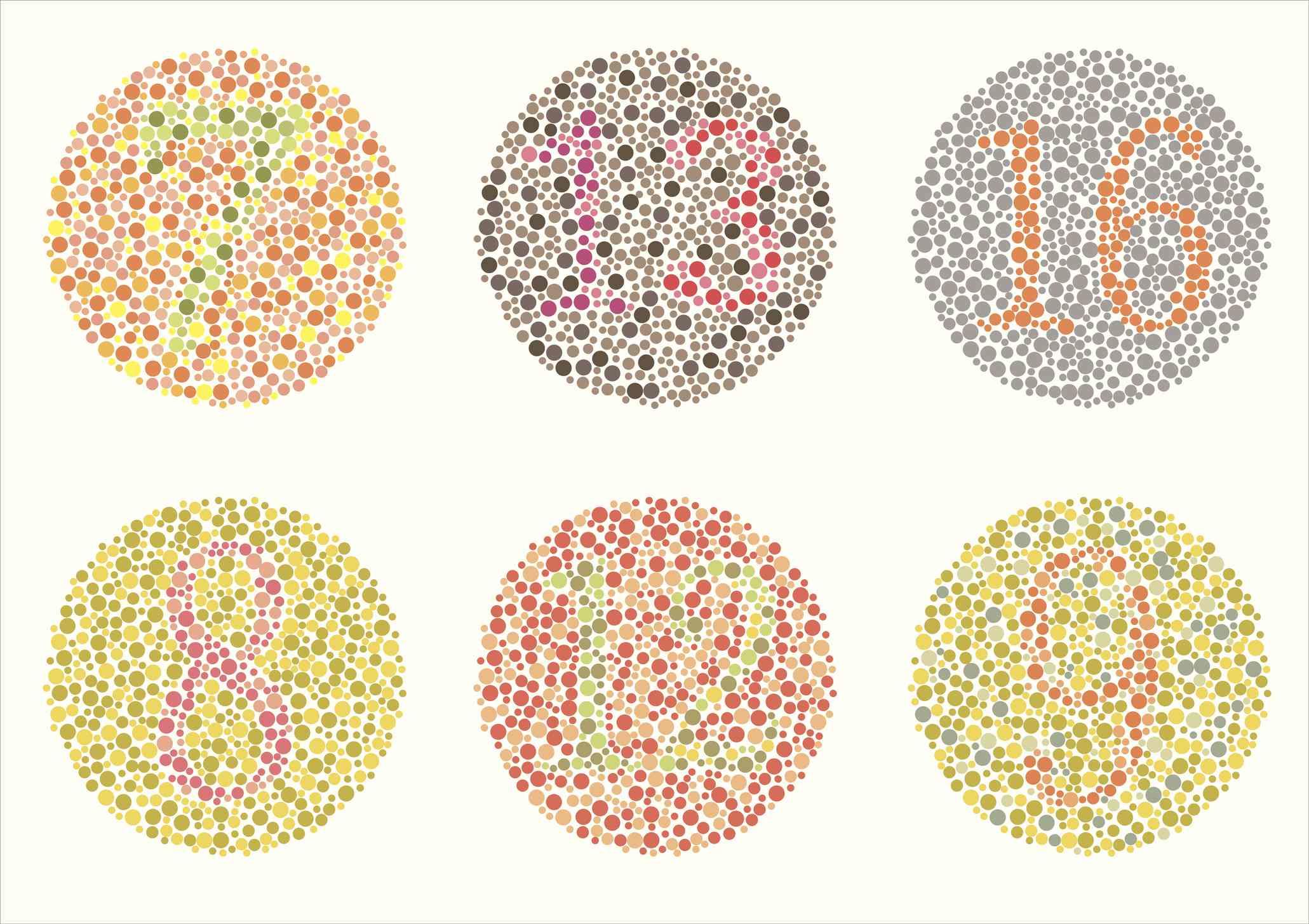 Example of colour blindness test, 6 circles are shown each circles is made up of coloured dots and within these circles are numbers in an alternate colour.