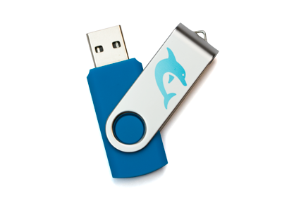 A Dolphin USB stick