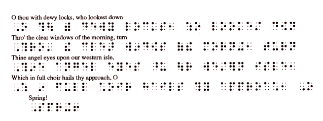 braille translator screenshot showing interline printing