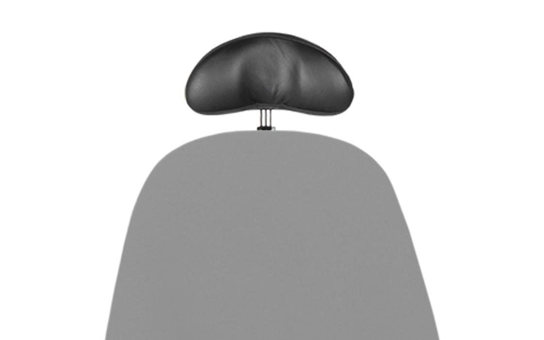 ES headrest image