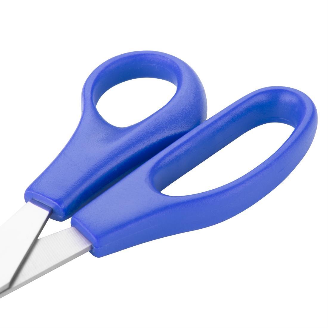 Hygiplas Blue Colour Coded Scissors - DM037  - 4