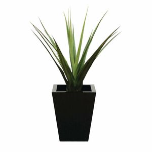 Pandanus Green 900mm - CC504 - 1