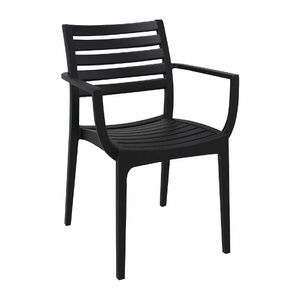 Artemis Arm Chair Black (Pack of 2) - FS445 - 1