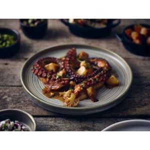 Terra Porcelain Matt Grey Low Presentation Plate 25cm (Pack of 6) - 3