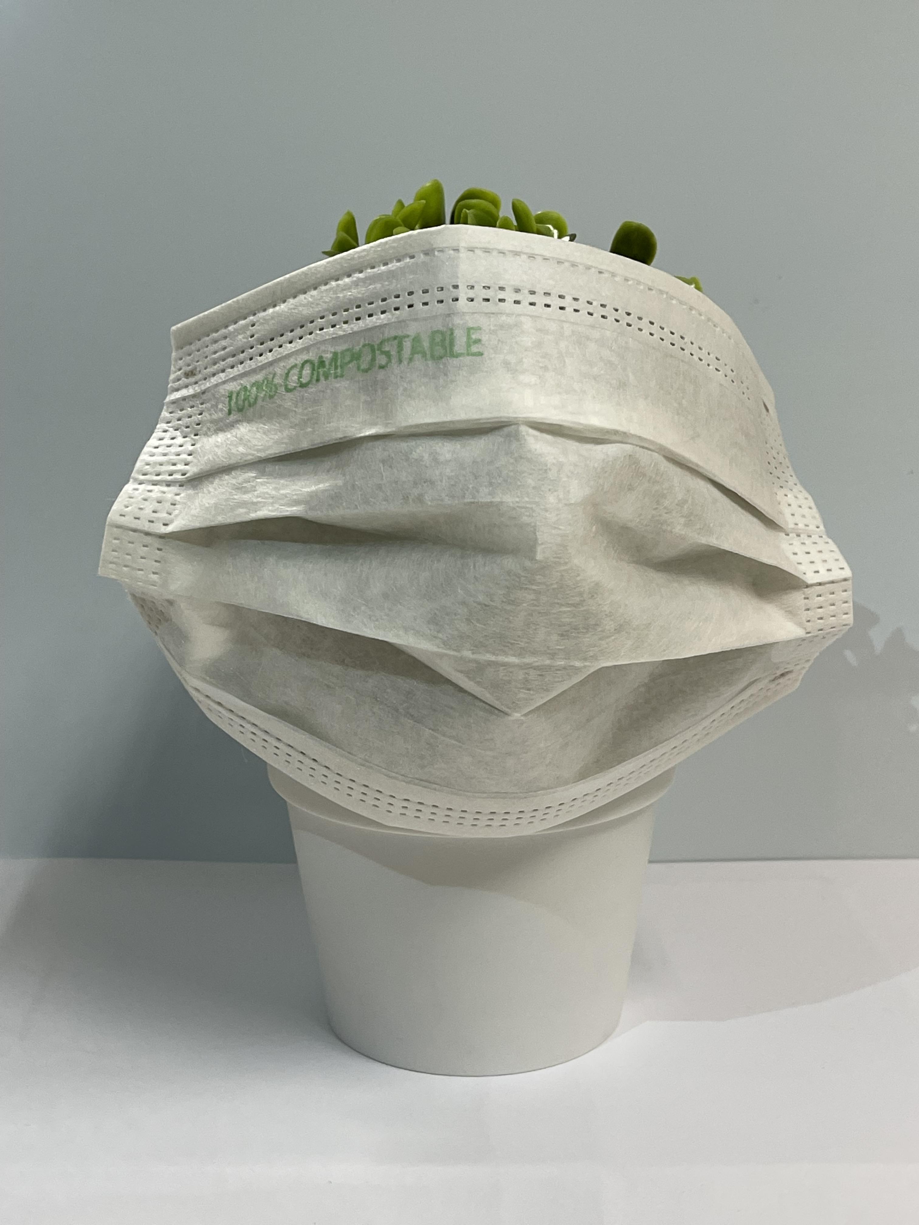Compostable Face Masks | Biodegradable Face Masks | General Use Day to Day - Pack of 50 - COMPMASK - 2