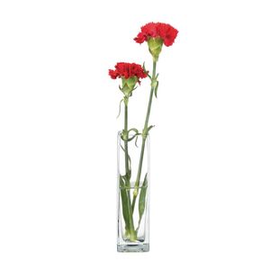 Square Bud Vase (Pack of 6) - CC986  - 3