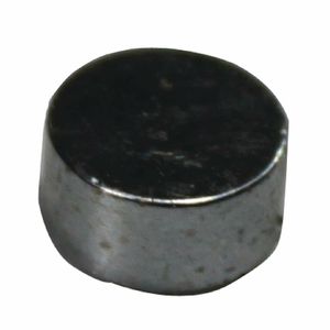 Buffalo Door Magnet - AF956 - 1