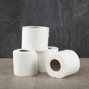 Jantex Standard Toilet Paper 2-Ply (Pack of 36) - GD751  - 4