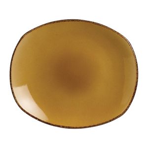 Steelite Terramesa Mustard Spice Plates 255mm (Pack of 24) - V7137  - 1