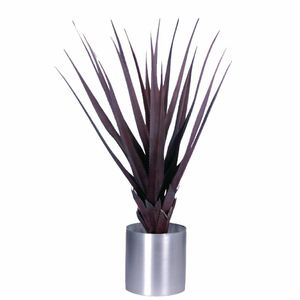 Pandanus Red 900mm - CC503 - 1