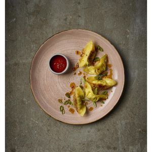 Churchill Stonecast Raw Terracotta Evolve Coupe Plate 220mm (Pack of 12) - CU653 - 3