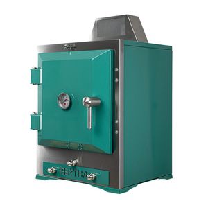 Bertha Professional Inflorescence Charcoal Oven BER-16013 Fern Green - HW471 - 3