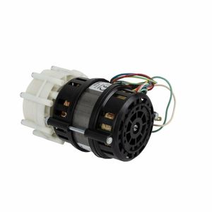 Buffalo Glasswasher Flush Pump 190W - AT391 - 3