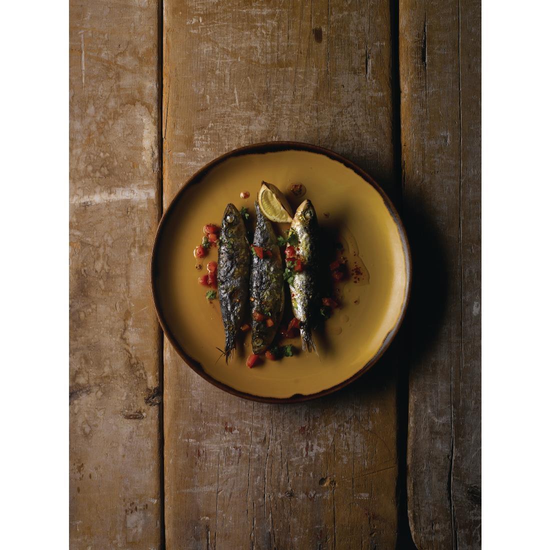 Dudson Harvest Dudson Mustard Deep Coupe Plate 255mm (Pack of 12) - FJ777  - 5