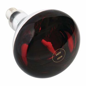 250W Heat Lamp Bulb Red ES - AG570 - 1