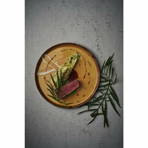 Dudson Harvest Walled Plates Mustard 210mm (Pack of 6) - FX154 - 2