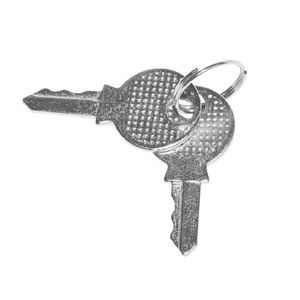 Polar Key - 1