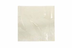 10" White Film Fronted Paper Bag (Case of 1000) - 1