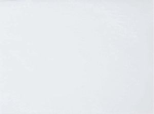Box Of 250 Velvet Anti-slip Placemats 40x30cm White - 713780 - 1