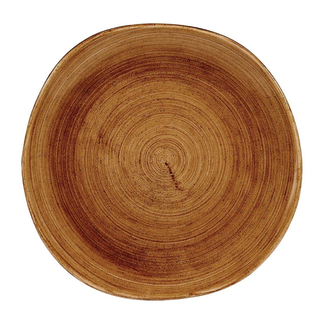 Churchill Stonecast Patina Organic Round Plates Vintage Copper 264mm (Pack of 12) - FA602  - 1