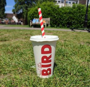 Custom Printed 16oz Single Wall Paper Cups - Custom Branded 16oz Single Walled Paper Cups - Bespoke Paper Cold Cups 16oz - 4