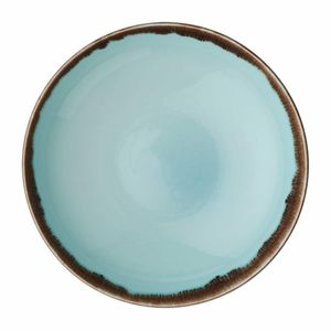 Dudson Harvest Coupe Bowls Turquoise 248mm (Pack of 12) - FX166 - 1