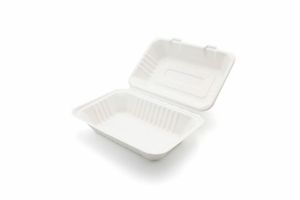 Bagasse Lunch Box - 9 x 6" (Case of 250) - 3