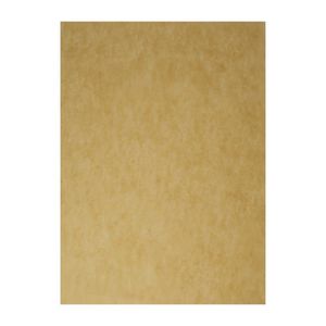 Vegware Compostable Unbleached Greaseproof Paper 380 x 275mm - DW631  - 1