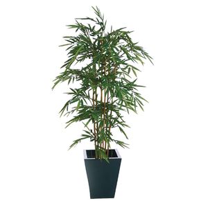 Natural Bamboo 1200mm - CC574  - 1