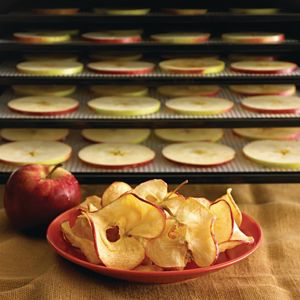 Excalibur 9 Tray Black Dehydrator 4900B